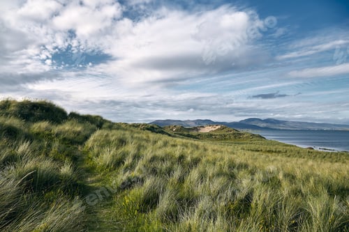 Preview: A Landscape Of Hills Covered In The Grass Surrounded By The Rossbeigh Strand And The Sea In Ireland