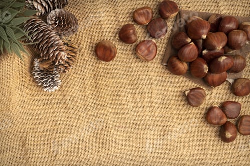Preview: A Top View Of Chestnuts With Pine Cones