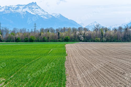 Preview: A Beautiful Shot Of The La Plaine Du Rhone In Vaud, Switzerland During Daytime