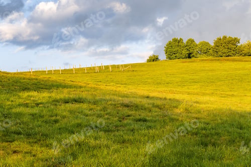 Vorschau: Eine wunderschöne Aufnahme der Wiese an einem bewölkten Tag mit Bäumen im Hintergrund