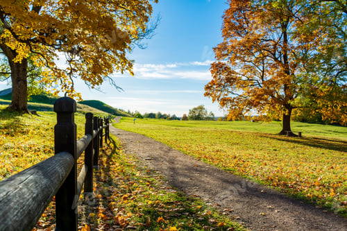 Preview: The Trees Near The Road With The Hills In The Background In Autumn