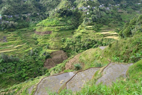 Preview: A Beautiful View Of Banaue Rice Terraces In Luzon, Philippines