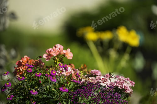 Preview: A Selective Focus Shot Of A Bouquet Of Meadow Flowers