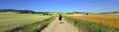 Preview: A Panoramic Shot Of A Rural Agricultural Landscape With A Road Through It
