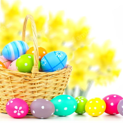 Preview: Easter Basket Filled With Colorful Eggs With Daffodil Background