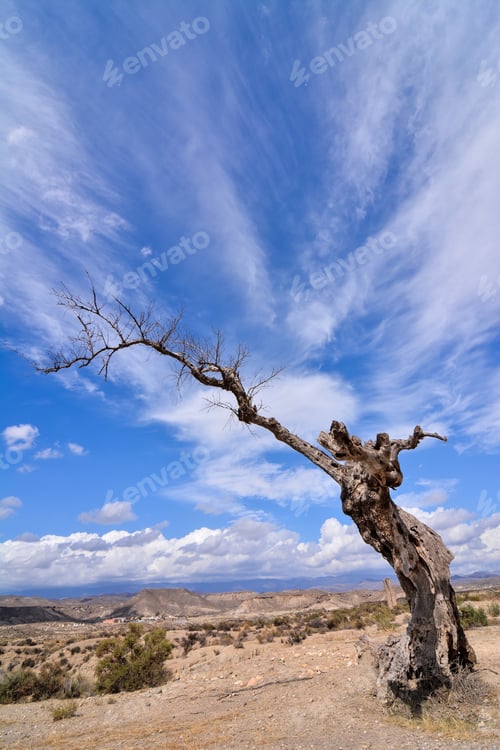 Preview: A Vertical Shot Of The Desert Tabernas In Almeria Province, Spain