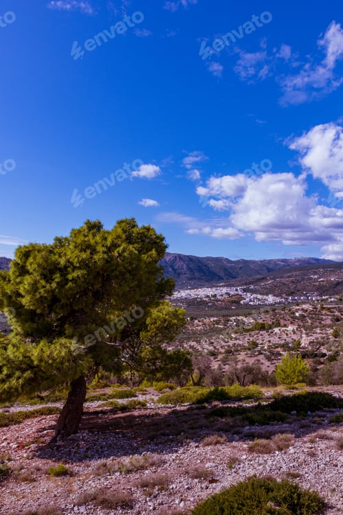 Preview: A Vertical Shot Of A Green Tree In A Mountain Landscape Under A Blue Cloudy Sky