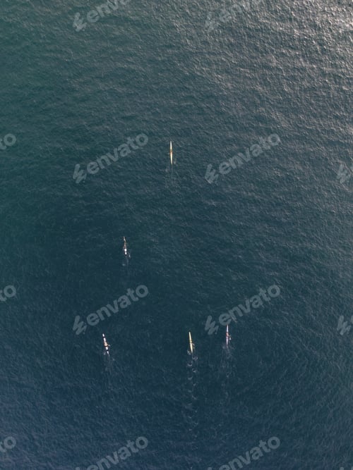 Preview: An Aerial Vertical Shot Of People In Kayak Boats Paddling In A Calm Clear Ocean Water