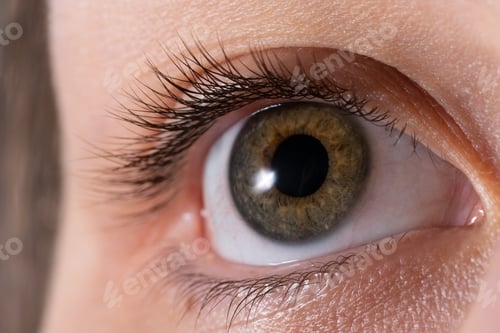 Preview: Human Eye In Close Up Shoot. Macro Shoot On Womans Eye Iris.