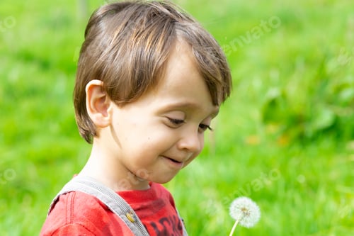 Preview: Happy Boy Blowing White Dandelion Outdoors
