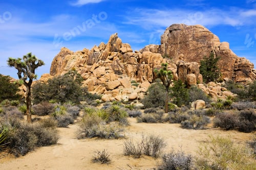 Preview: Rocks And Joshua Trees At Joshua Tree National Park, California, Usa