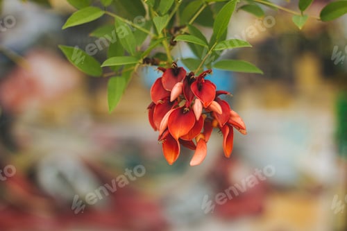 Preview: A Closeup Shot Of Red And Green Leaves On A Branch Behind A Multicolored Background