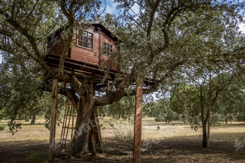 Preview: A Low Angle Shot Of A Wooden Treehouse With Windows In The Middle Of A Forest Under A Blue Sky