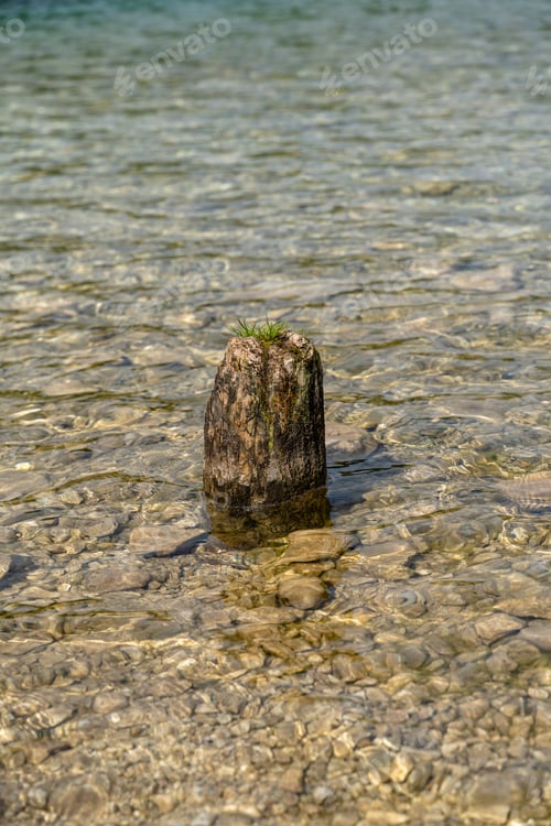 Preview: A Vertical Shot Of A Single Mossy Stone Standing In The Lake Bohinj In The Daytime