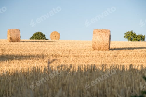 Preview: A Beautiful View Of Haystacks On A Cropped Farm Captured On A Sunny Day In The Franch Countryside