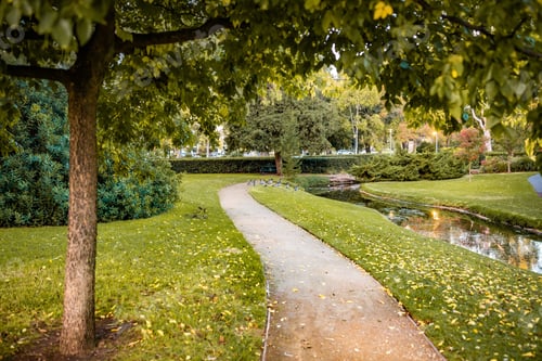Preview: A Beautiful Shot Of Park Pathway Surrounded With Amazing Nature