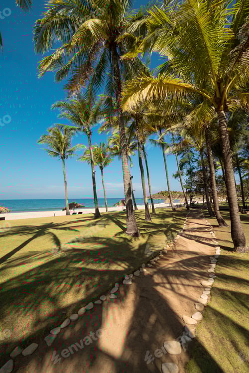 Preview: A Vertical Shot Of A Pathway In The Middle Of A Grassy Field With Palm Trees Near The Beach Shore