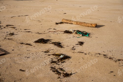 Preview: A Closeup Shot Of A Polluted Sandy Beach