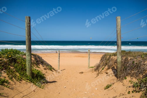 Preview: A Pathway With A Wire Fence Attached To Wooden Sticks Near Green Plants On The Beach