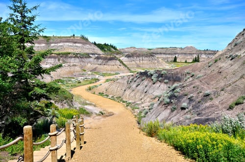 Preview: Trail Through The Badlands Of Horseshoe Canyon, Near Drumheller, Alberta, Canada