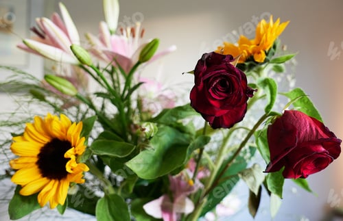 Preview: A Closeup Shot Of Fresh Flowers In The Vase