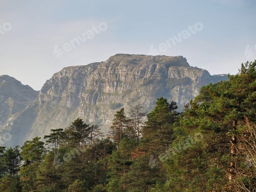 Preview: A Beautiful View Of The Forest On The Mountain Background N A Gloomy Day