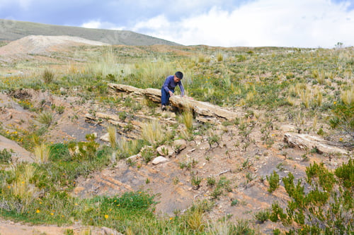 Preview: Little Native American Boy In The Countryside Of Andes.
