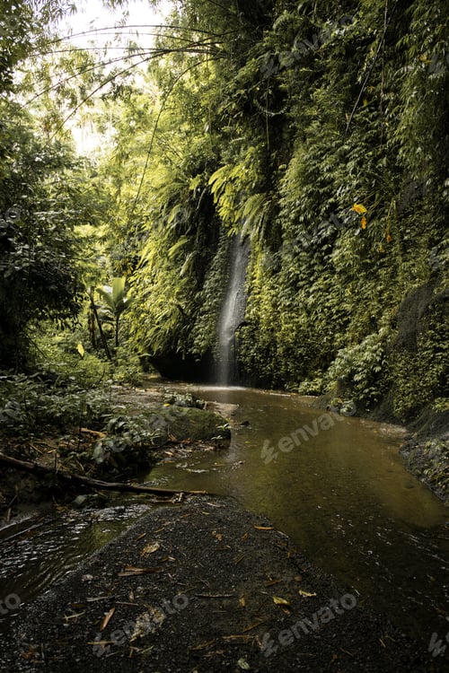 Preview: A Beautiful Waterfall Covered In Plants In Bali, Indonesia