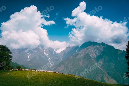 Preview: The Beautiful View Of The Sheep Grazing In The Highlands