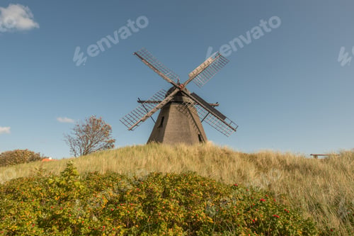 Preview: An Old Windmill In A Field Under The Sunlight And A Blue Sky In Denmark