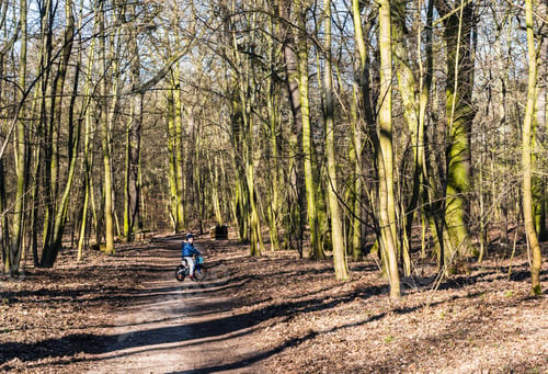Preview: Poznan, Poland - Mar 14, 2020: Footpath With Child On A Bicycle Along Many Leafless Trees In The