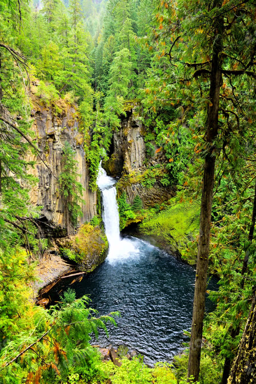 Preview: Beautiful Toketee Falls Surrounded By The Lush Forests Of Oregon, Usa