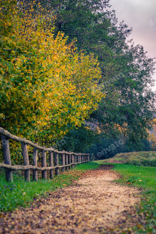 Preview: A Vertical Shot Of A Wooden Fence And A Path In An Autumn Park