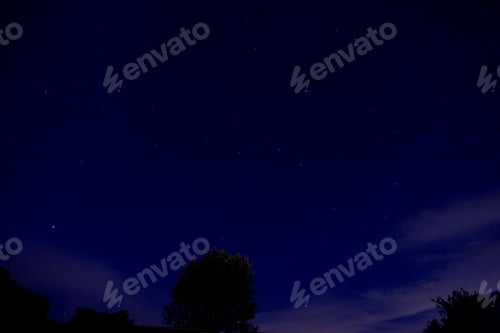 Preview: Blue Dark Night Sky With Many Stars Above Field Of Trees.