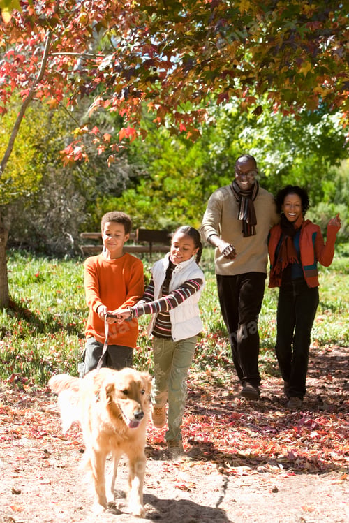Preview: Vertical Shot Of A Couple Walking With Their Two Children Holding A Golden Retriever'S Leash In An