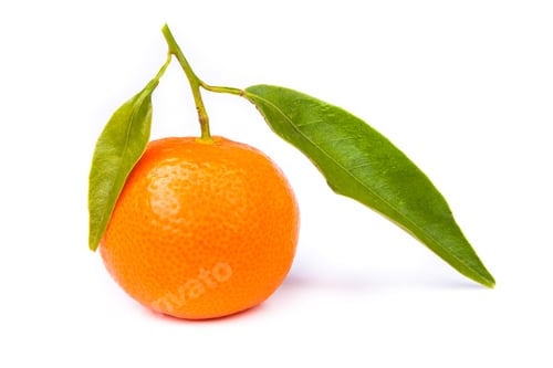 Preview: Tangerine