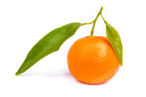 Preview: Tangerine