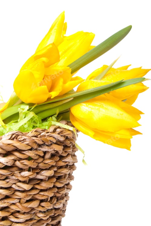Preview: Bright Yellow Tulips in Woven Basket with Greenery
