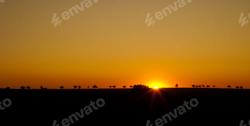 Preview: Silhouette Of Trees In Sunset.