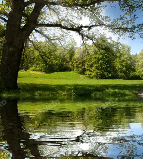 Preview: Beautiful Mountain Valley Reflection On Lake Surface