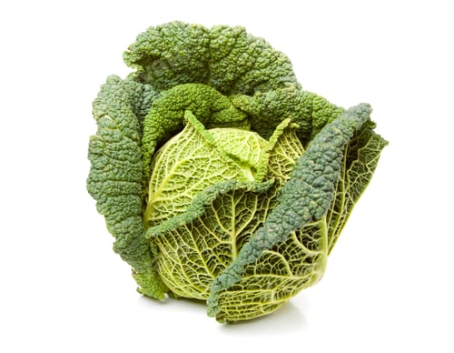 Preview: Fresh Green Savoy Cabbage on White Background