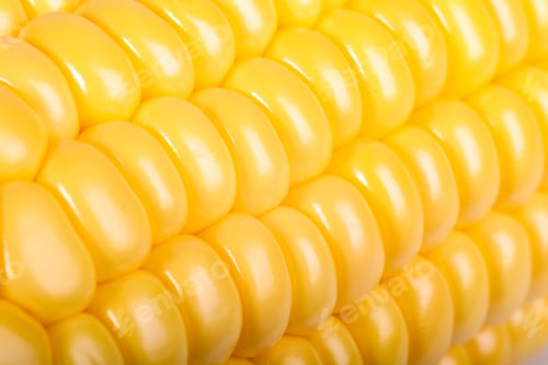 Preview: Corn