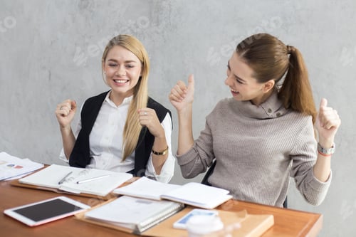 Preview: Young Woman Working Together In Modern Place, Business People Takling In Modern Office. Successful