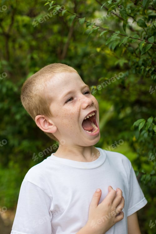 Preview: Portrait Of A Young Boy.