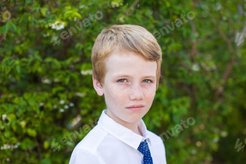 Preview: Young Student In His School Uniform.