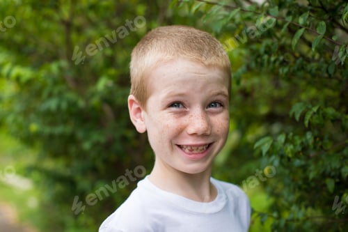 Preview: Portrait Of A Young Boy.
