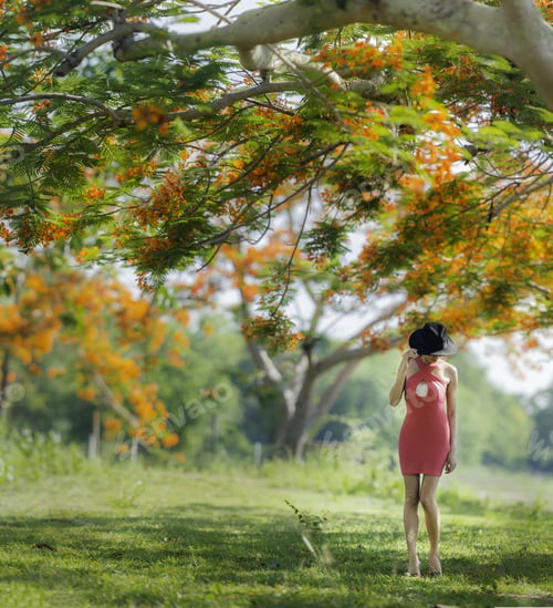 Preview: Woman Wear Red Dress On Orange Flower Background