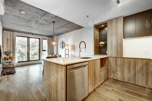 Preview: Canadian Apartment In New Apartment Building In Griffintown, Montreal Area