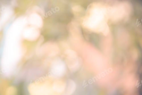 Visualização: Bokeh natural, bokeh desfocado, fundo desfocado.