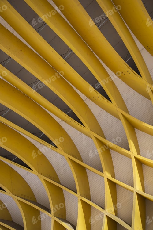 Preview: Study Of Patterns And Lines